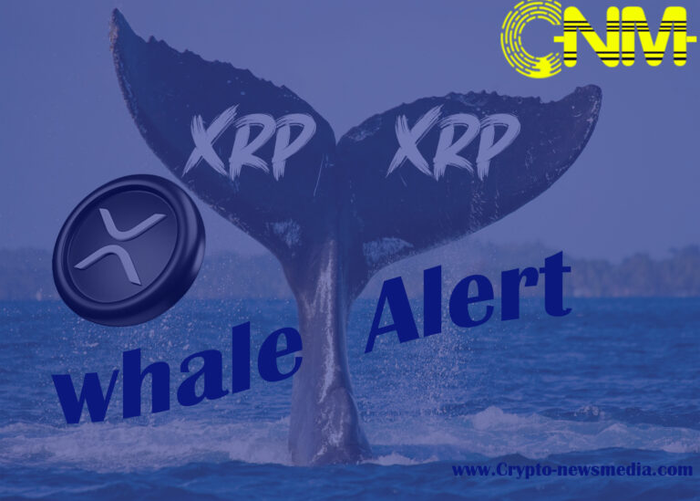 Analyzing Market Sentiment: What the Whale’s Move Could Indicate for XRP
