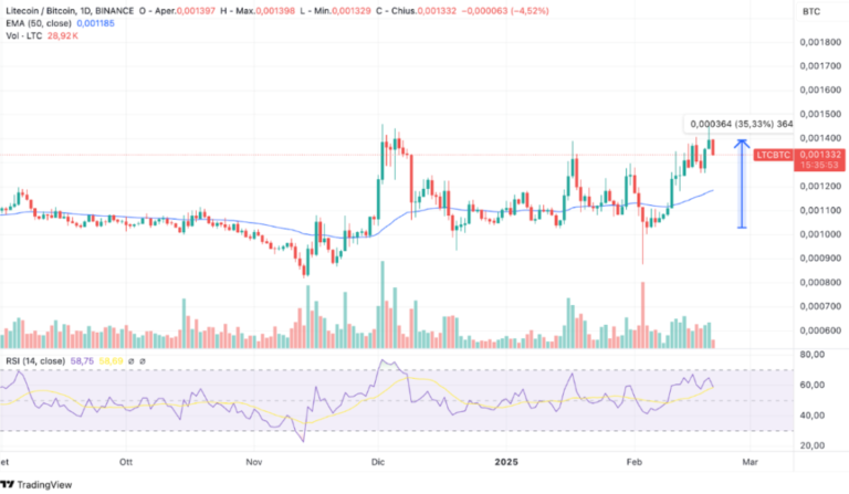 Litecoin’s Rally Gains Momentum as ETF Hype and Whale Accumulation Drive Growth