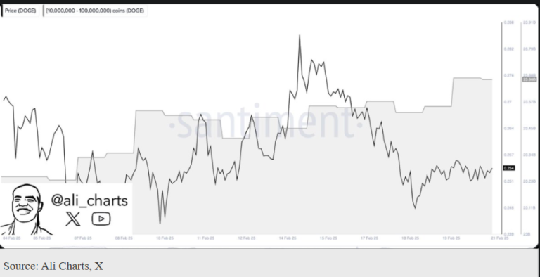 Dogecoin Whales Scoop Up 110M DOGE—Is a Bull Run Around the Corner?