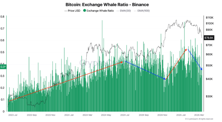 Bitcoin Shows Signs of Recovery as Whale Selling Slows