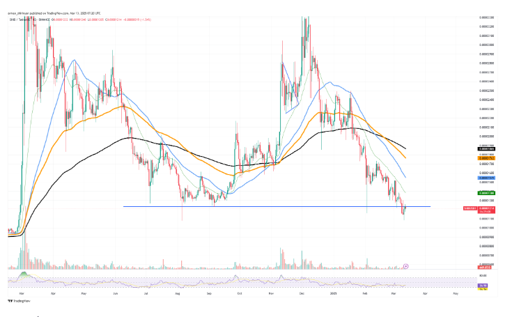 Shiba Inu Faces Steep Price Rejection: Is a Bigger Drop Coming?